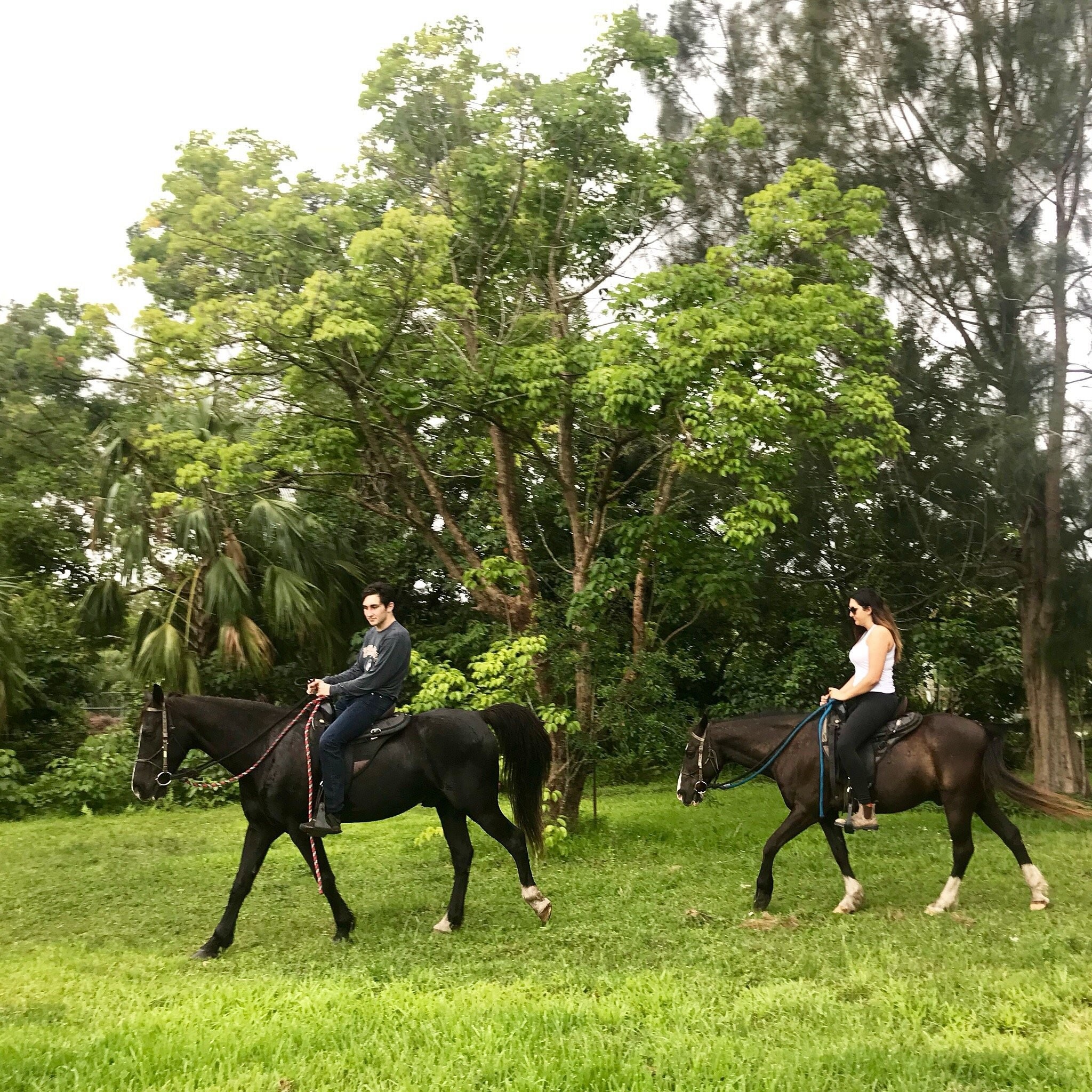 Family horseback riding adventure on scenic trail at Bar-B-Ranch, Davie