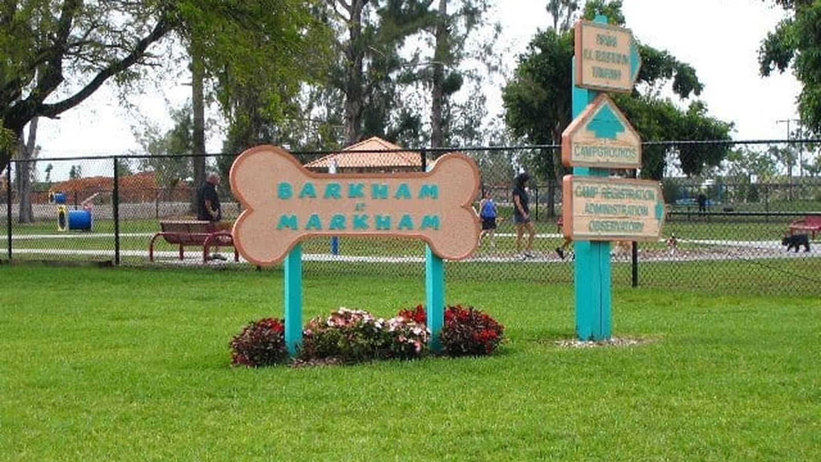 Dogs playing in the large fenced grassy area at Barkham at Markham Park dog park in Sunrise, Florida