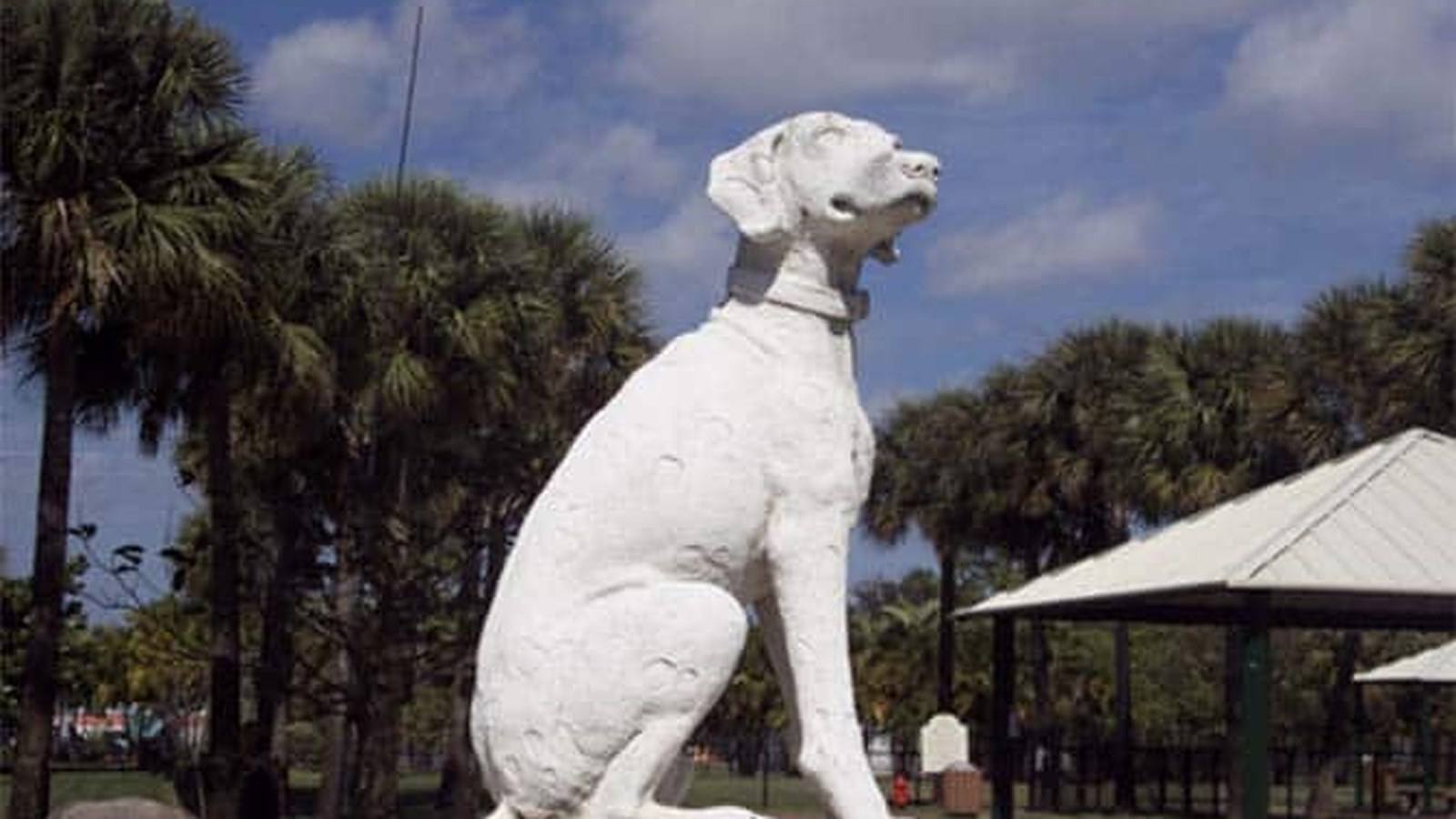 Dogs running and playing in the large grassy enclosure at Happy Tails Dog Park in Plantation, Florida
