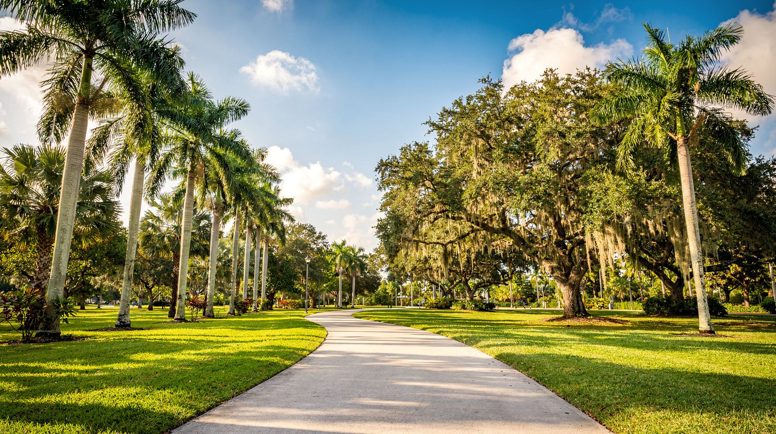 A lush tropical park path lined with royal palms and live oaks with Spanish moss in Pembroke Pines on a sunny South Florida day